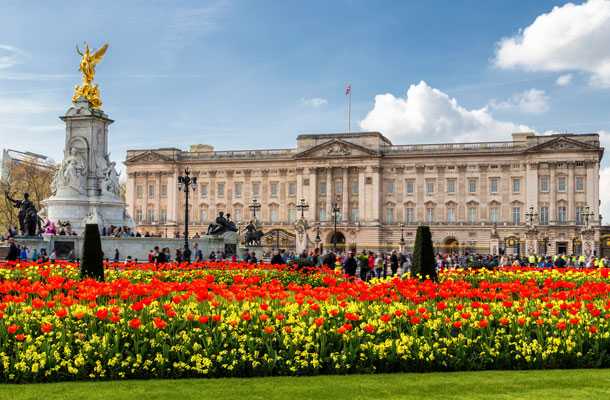Buckingham Palace バッキンガム宮殿 万年筆 イリジウムポイント IRIDIUM POINTマーブル柄 キャメル ブラック 美品★21