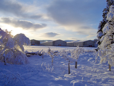 深い雪に覆われた蒸留所の倉庫