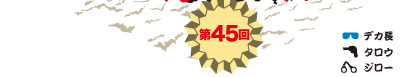 第45回