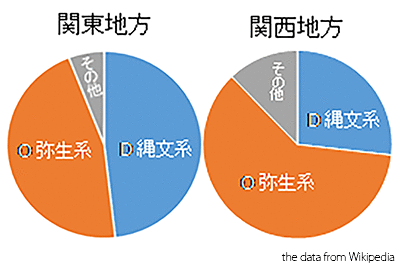 日本人のY染色体ハプログループ