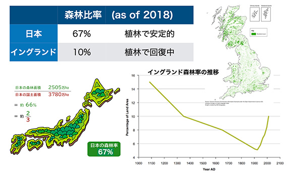 日英の森林率の比較