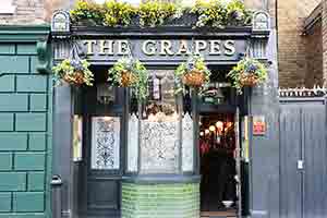 The Grapes