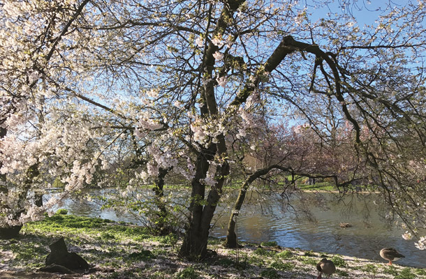 St James's Park