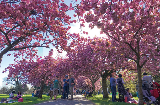 Greenwich Park