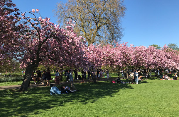 Greenwich Park