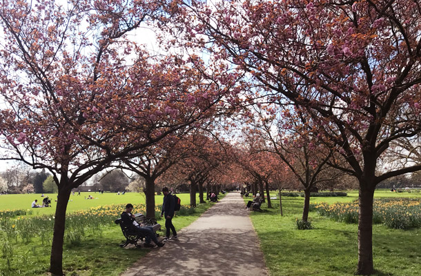 Greenwich Park