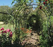 庭に設置された花トンネル