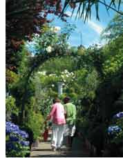 Clifton Nurseries