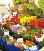 Fulham Flower Market Florist