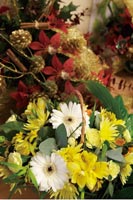 House of Flowers