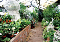 World's End Nurseries