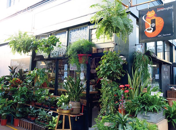 Cornercopia Plant Shop