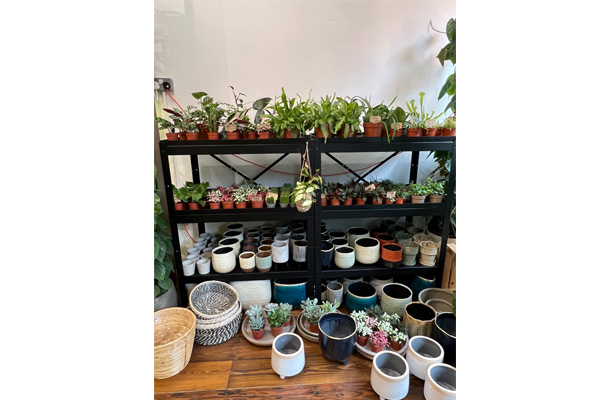 Plant Designs Shop