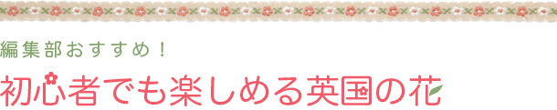 編集部おすすめ！初心者でも楽しめる英国の花