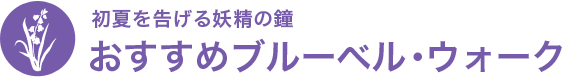 おすすめブルーベル・ウォーク