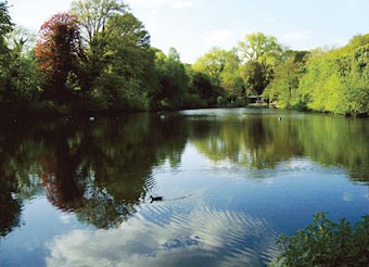 Hampstead Heath