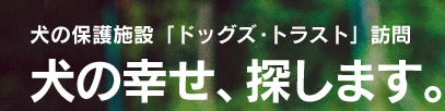 犬の保護施設「ドッグズ・トラスト」訪問　犬の幸せ、探します。 