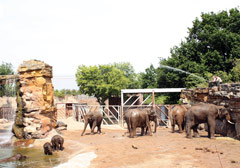 チェスター動物園