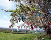 Hill of Tara