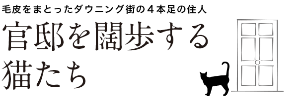 官邸を闊歩する猫たち - 毛皮をまとったダウニング街の4 本足の住人　