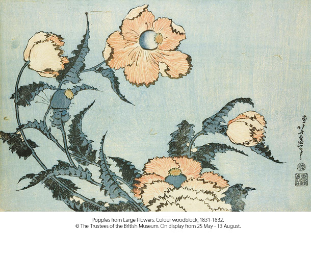 「芥子」　1831-32年