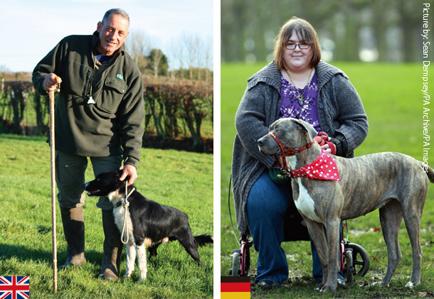 英国の牧羊犬とドイツの介助犬