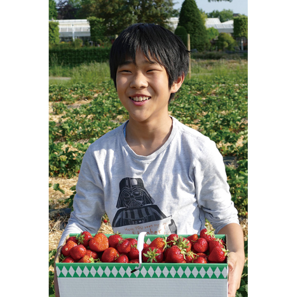 「いちごだいすきおにいちゃん」加藤 立佳さん(6歳)