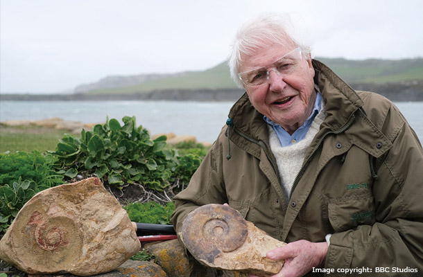 David Attenborough and The Giant Sea Monster