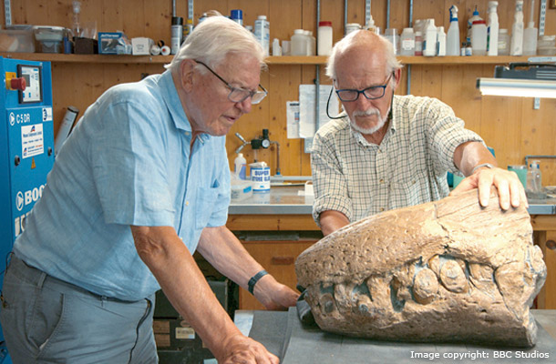 プリオサウルスの頭蓋骨を見るアッテンボロー（写真左）