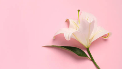 英国の美容事情